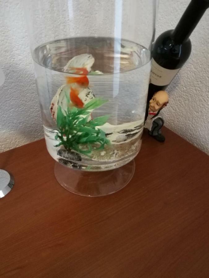 스플리트 Radun 아파트 외부 사진